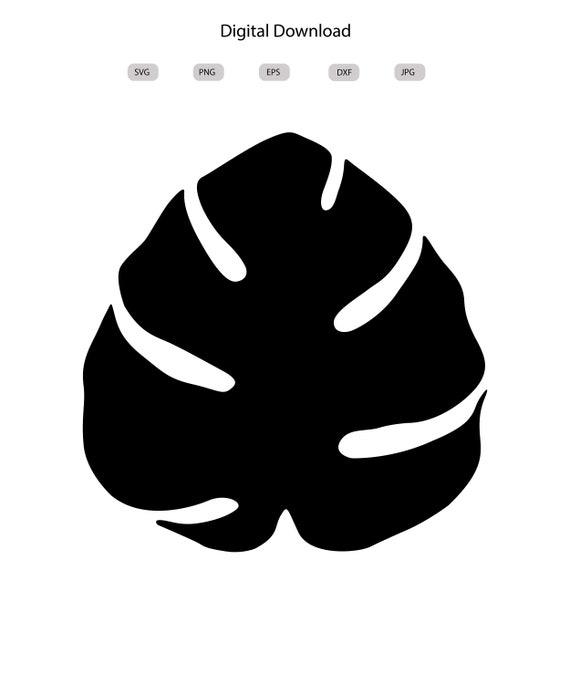 Monstera leaf Svg - Monstera leaf Silhouette - Monstera leaf Cut File -  Monstera leaf Clipart - svg - eps - dxf - png - jpg
