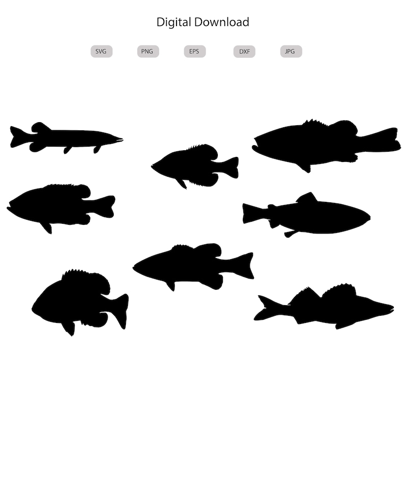 Fish Svg - Bass Silhouette - Pike Svg - Bluegill Svg- Crappie Cut File ...