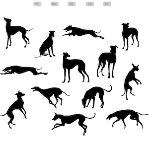 Greyhound Svg - Greyhound Silhouette - Greyhound SVG Bundle - Greyhound Cut File - Greyhound Clipart - SVG - Eps - Dxf - PNG - jpg