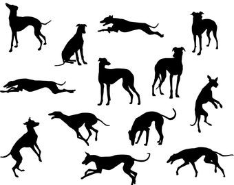 Greyhound Svg - Greyhound Silhouette - Greyhound svg bundle - Greyhound Cut File - Greyhound Clipart - svg - eps - dxf - png - jpg