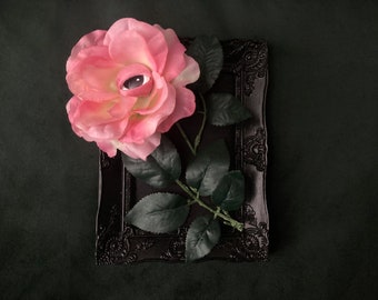 Blooming eyes - pink flower eye in black frame - handmade ooak art