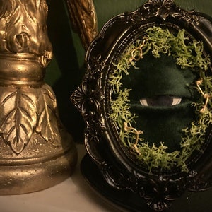 Mossy Monster Eye with gold thorns in Mini Frame - Green Quirky Handmade Wall Art Creepy Curiosities Curio OOAK