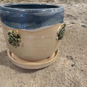 May include: A ceramic planter with a blue rim and a beige body, featuring two green turtle embellishments. The planter includes a matching saucer. The design evokes a beach theme, suitable for small plants or succulents.