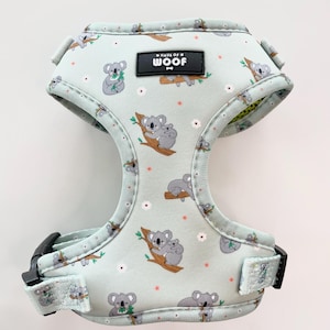 May include: A light blue dog harness with a repeating pattern of koalas on branches and small pink flowers. The harness has black buckles and the text "HAUS OF WOOF" on a black label.