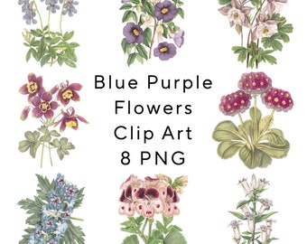 Clip art de flores de acuarela: PNG floral azul y morado (descarga digital)