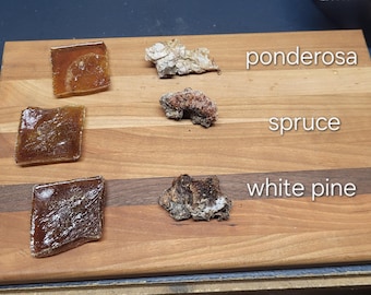 Clarified Ponderosa Pine Resin