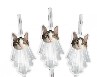 Bachelorette Party Cat Face Wearing Veil and Bow Straws set of 10, Bachelorette Meowied Theme Straws