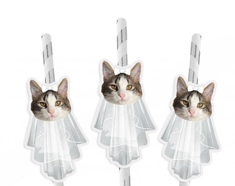 Bachelorette Party Cat Face with Veil Straws: Meowied Theme, Set of 10