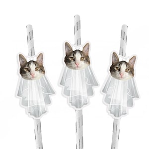 Bachelorette Party Cat Face Wearing Veil and Bow Straws set of 10, Bachelorette Meowied Theme Straws