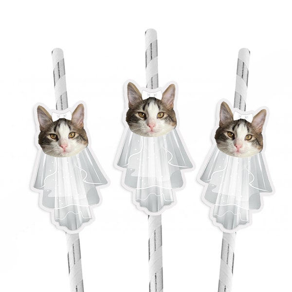 Bachelorette Party Cat Face Wearing Veil and Bow Straws set of 10, Bachelorette Meowied Theme Straws