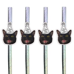 Custom Pet Birthday Straws: Personalized Cat Party Decorations