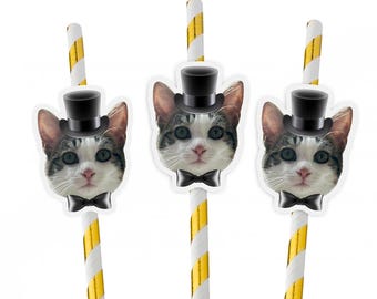 Cat Face Party Straws: Top Hat & Bow Tie, Bachelorette Meowied Theme (Set of 10)
