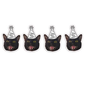 Custom Pet Face Birthday Banner: Cat Party Decorations