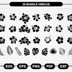 Tropisches Blumenmuster, Tropische Pflanze Blatt, Hibiskus Blatt svg, Monstera Blatt Blatt svg, Hawaii Blatt Clipart, Dschungelblätter Blatt svg, Hibiskus Silhouette