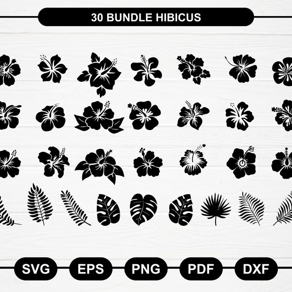 Tropical Floral svg, Tropical Plant svg, Hibiscus svg, Monstera Leaf svg, Hawaiian Leaf clipart, Jungle leaves svg, Hibiscus Silhouette