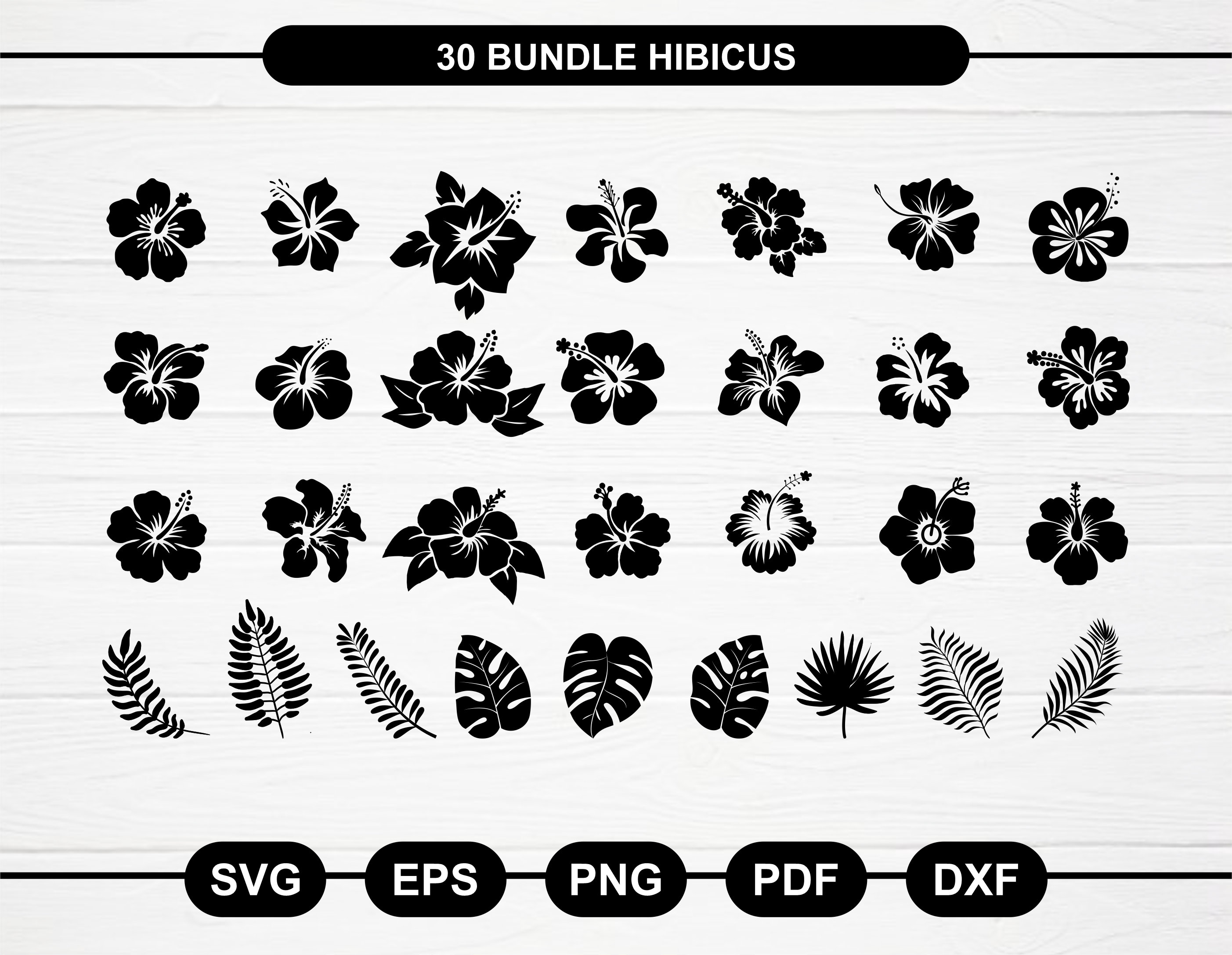 Tropical Floral svg, Tropical Plant svg, Hibiscus svg, Monstera Leaf svg, Hawaiian Leaf clipart, Jungle leaves svg, Hibiscus Silhouette