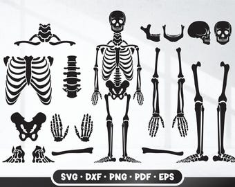 Skeleton Parts svg, Skeleton svg, Skeleton Parts png, Skeleton png, Halloween svg, Skeleton for Cricut, Skeleton Cut File, Halloween, DIY