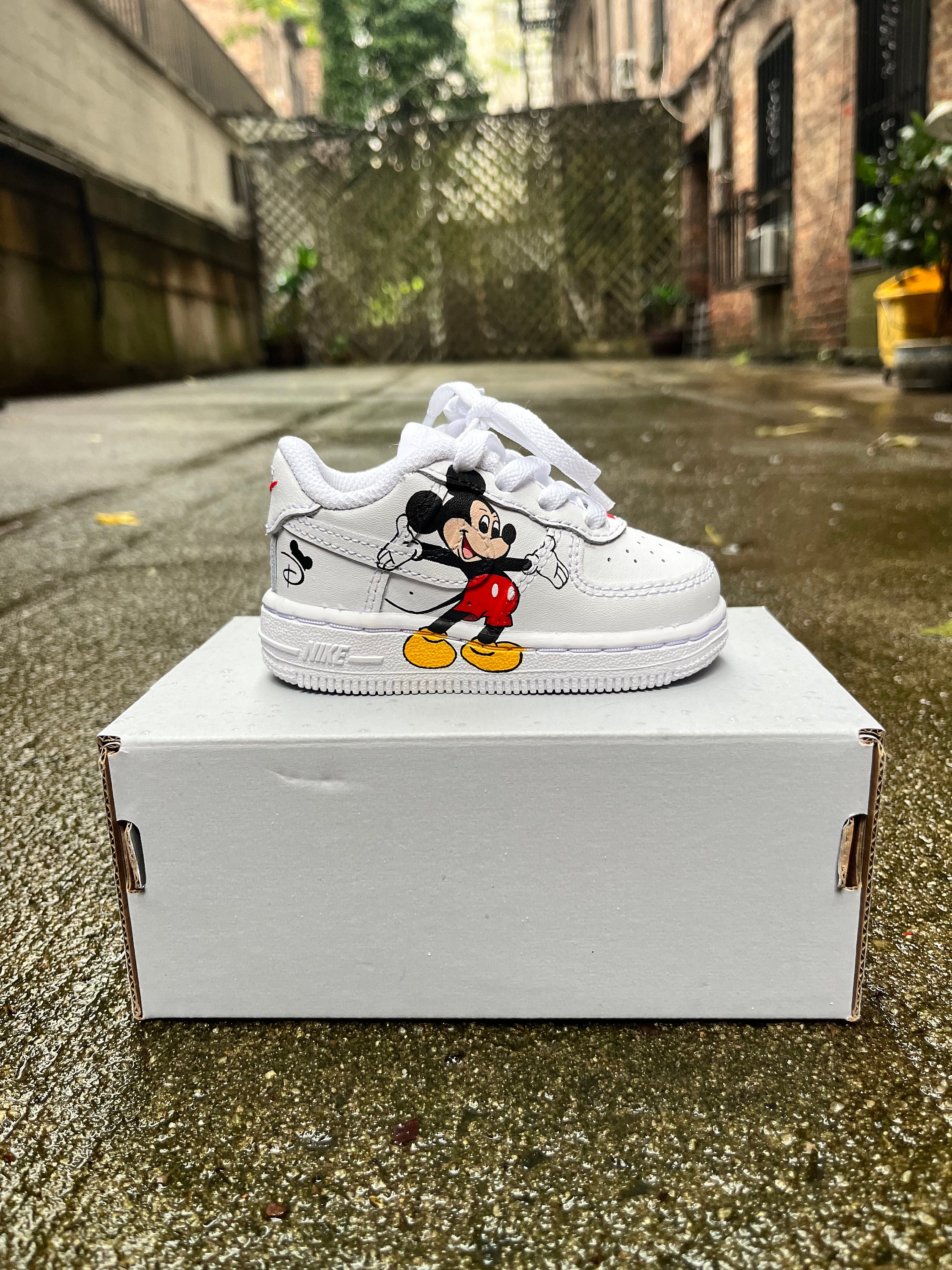 mickey mouse air force 1