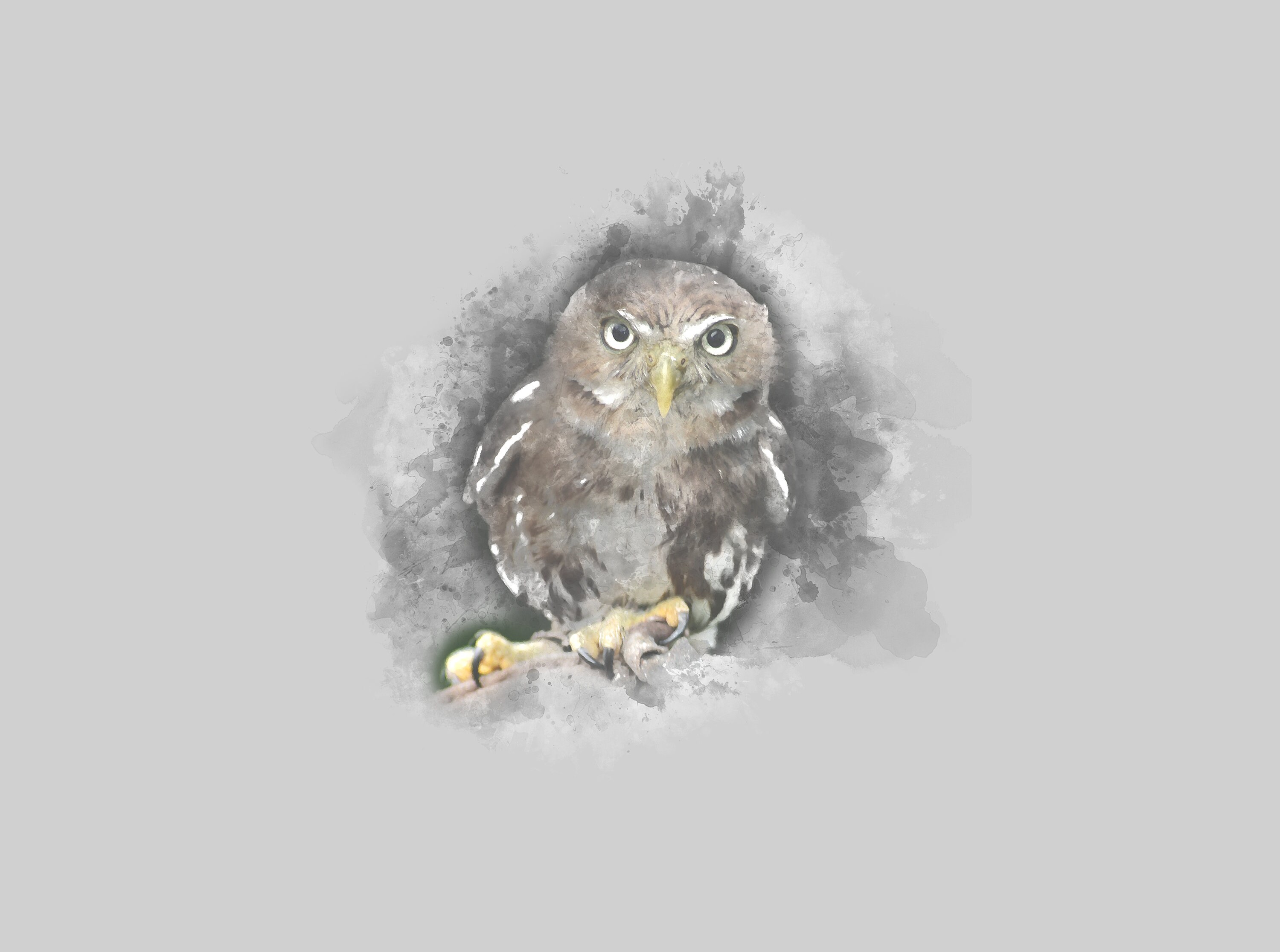 Tableau Du Hibou, Art Moderne Abstrait, Peinture sur Toile Murale, Bois, Aquarelle, Animal, Original