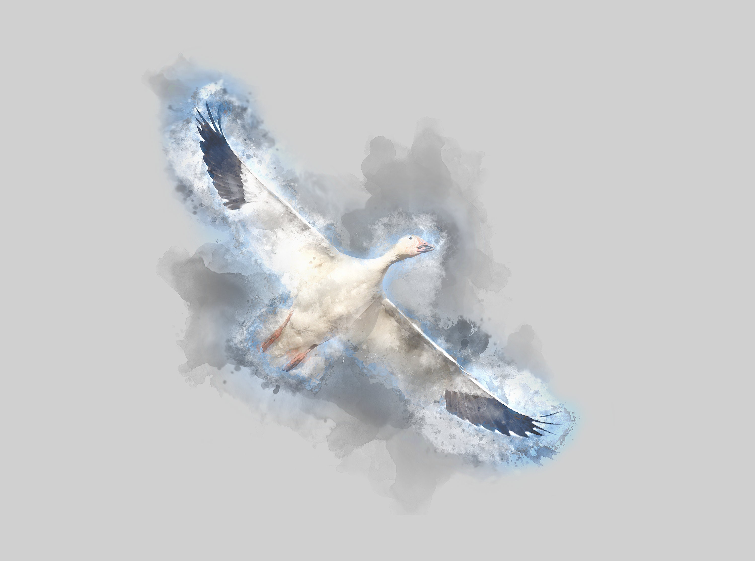 Tableau de L'oie, Art Moderne Abstrait, Peinture sur Toile Murale, Bois, Aquarelle, Animal, Original