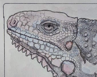 iguana artwork
