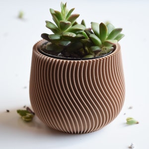 Minimal Indoor Planter “Maple” - wooden pot for small plants, succulents, cacti