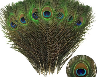 12Pcs Peacock Feathers for art projects,10-12 inch 25-30cm for Craft Vase ,Wedding Home Party Christmas Day Decoration Peacock Feathers