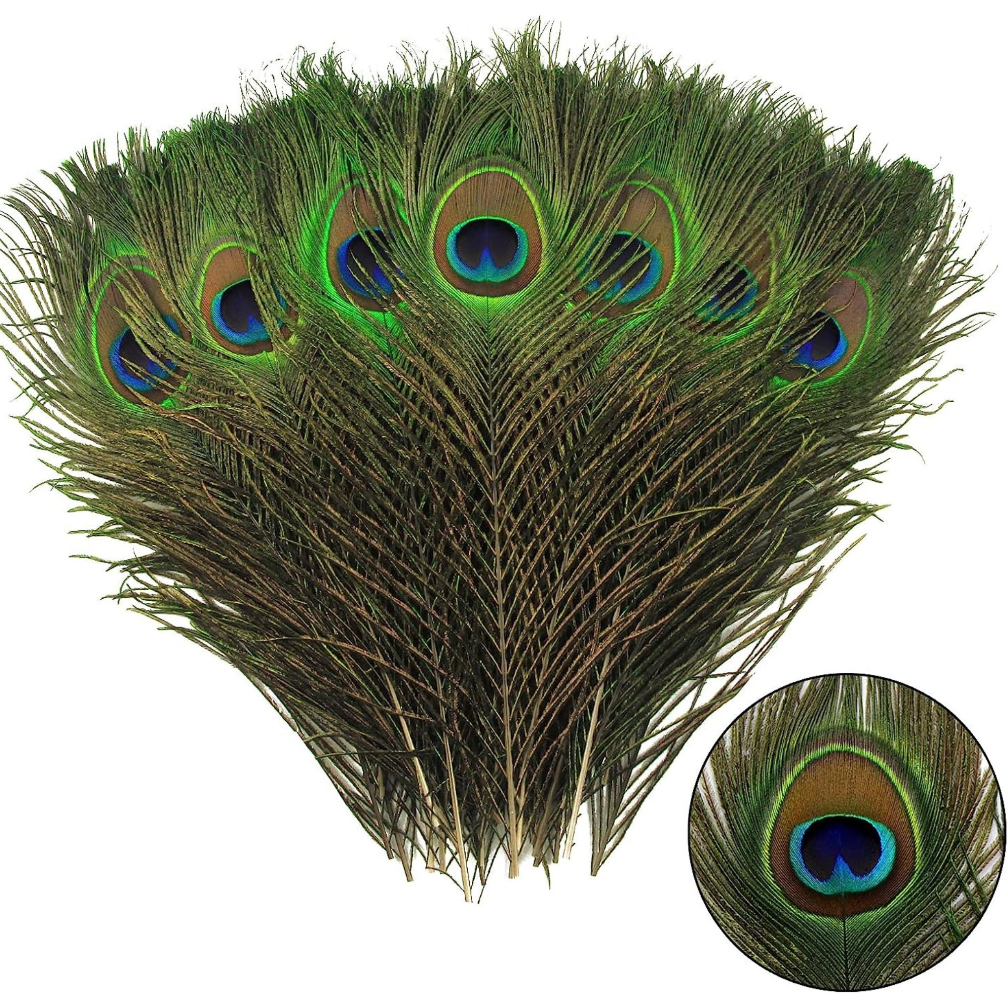 ON SALE Peacock Feather Mat Placemat or Centerpiece Decoration in