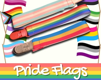 Pride Flags Little Space Clip, LGBT+ Pacifier Clip, Trans, Non-binary, Asexual, Bi, Pan, Little Space Gear