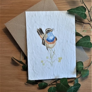 Carte A6, papier de semences plantable écologique avec enveloppe kraft - Bluethroat bird