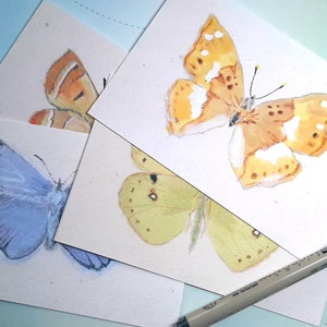 set ad acquerello di quattro stampe di farfalle, 10x15 cm ciascuna, rare specie di farfalle italiane, carta fine art Hahnemuhle