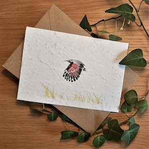 A6 card, eco-friendly plantable seed paper with kraft envelope - Wallcreeper (Tichodrome) bird