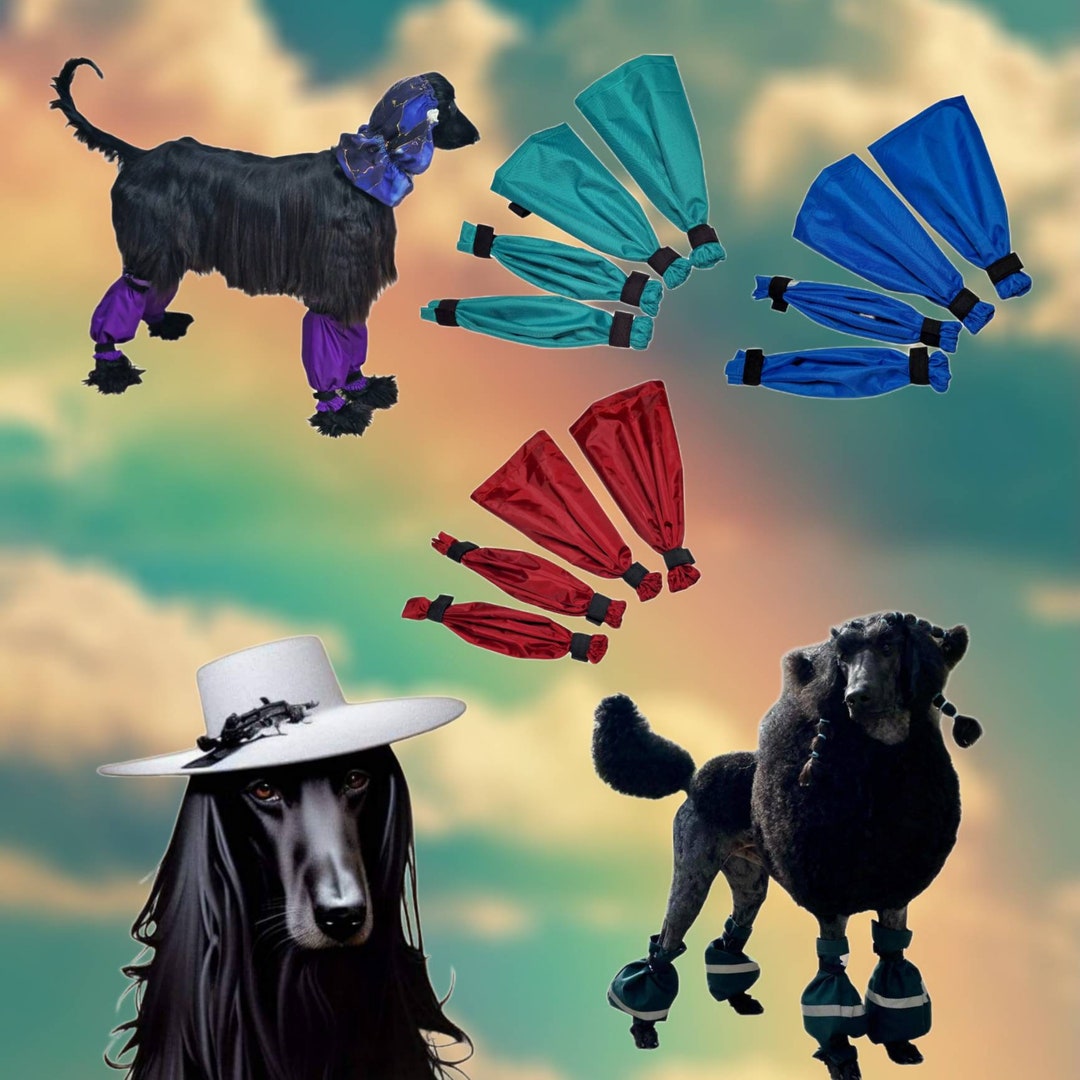 Waterresistant Waterproof Dog Leggings Leg Covering for Etsy