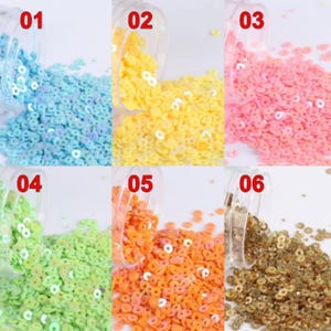 2/3/4/5/6 mm 10g Paillettes rotonde piatte sciolte Paillettes per accessori da cucito artigianali