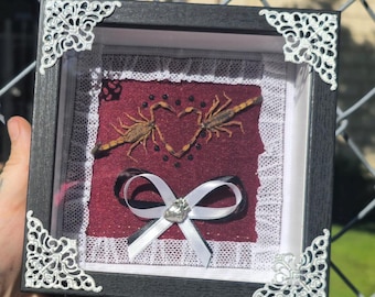 Golden Scorpion Lovers: Unique Handcrafted Real Scorpion Heart Oddity Display