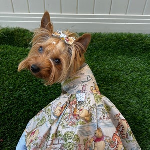 Dog/Cat Dress Vintage Winnie the Pooh, Hundred Acre Woods, Custom Harness Clothes, Sizes Puppy or Kitten, XXS, XS, Small