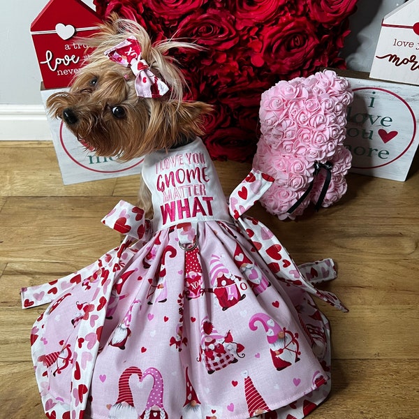 Pet Dress Valentine I Love you Gnome Matter What Theme, Hearts, Kisses, Cupid, Mischief, Custom Harness