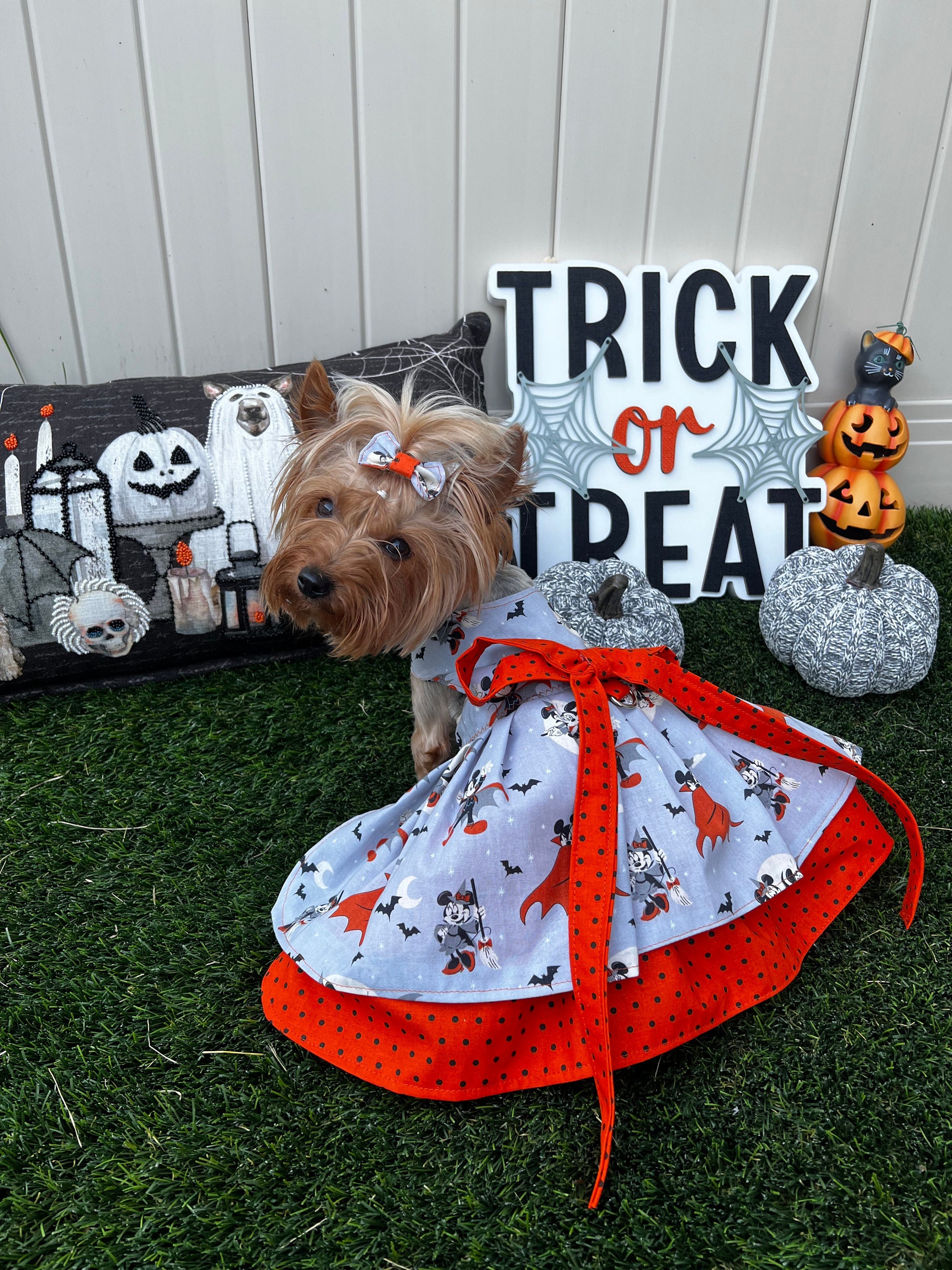 Minnie mouse dress for dogs online