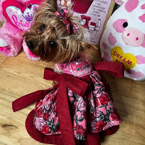 Pet Dress Rose Cupid's Cutest Valentine Custom Harness, Blush, Light Pink, Green Thorns, Newborn up to 2 lbs, XXS, XS, S, M, L Sizes