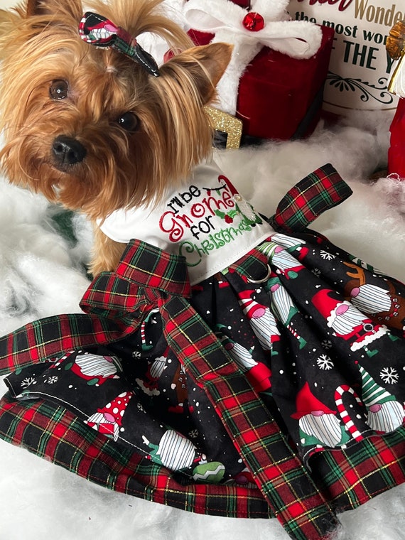 gnome christmas dress Pet Dress I'll Be Gnome for Christmas, Santa, Reindeer, Winter, Snowflakes,  Custom Harness