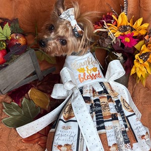 May include: A small dog wearing a white dress with the words "thankful & blessed" and a matching bow. The dress features a fall-themed print with pumpkins and text. The dog is surrounded by fall foliage and flowers.