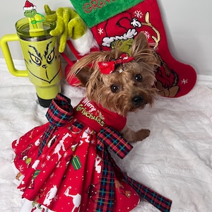 May include: A small brown and white dog wearing a red dress with a plaid bow and a "Merry Grinchmas" design. The dog is sitting in front of a red and green Christmas stocking with the words "Merry Grinchmas" embroidered on it.