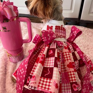 May include: A small dog wearing a pink and red Valentine's Day dress with a white bodice that says "be mine valentine". The dress has a plaid pattern with hearts, arrows, and flowers. The dog is wearing a pink bow in its hair.