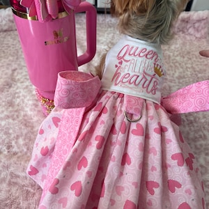 Queen of All the Hearts Valentine Patchwork Custom Harness