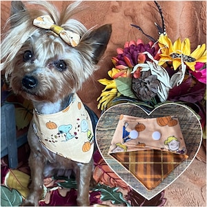 May include: A small dog wearing a tan bandana with a pumpkin and cartoon character print. The dog also has a matching bow in its hair. A second bandana with a plaid pattern is also shown.