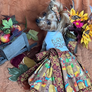 dog fall dress Halloween Dog Harness Dress With Leash - Fall Leaves With Three Bows - Fall  Holiday Dog Dress main image 1