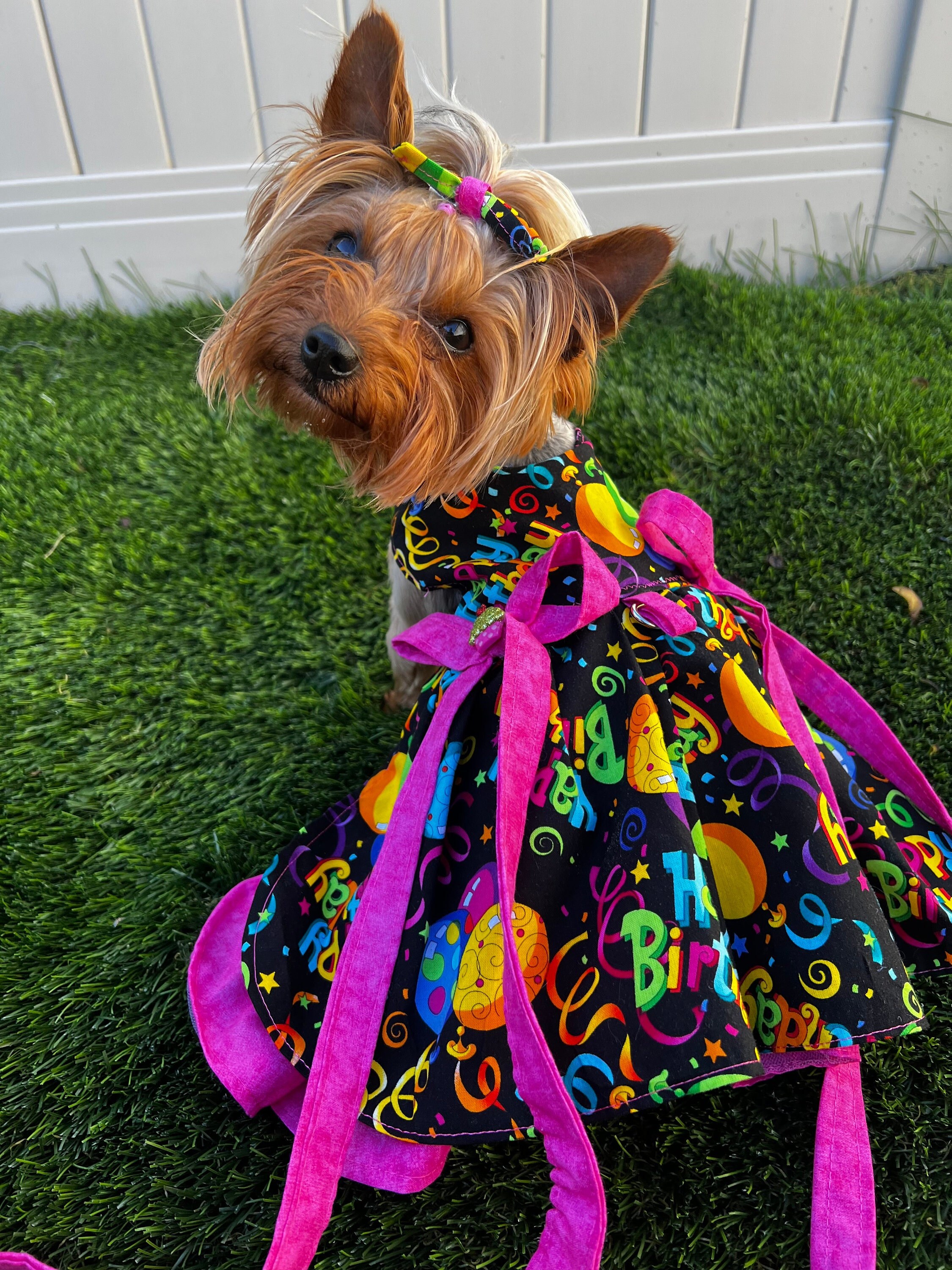 Shih Tzu Dog Dress 