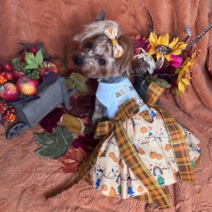May include: A small dog wearing a white shirt with the text "Take Me" and a plaid dress with cartoon characters and pumpkins. The dog also has a matching bow in its hair. The background includes fall foliage and a wooden crate with apples.