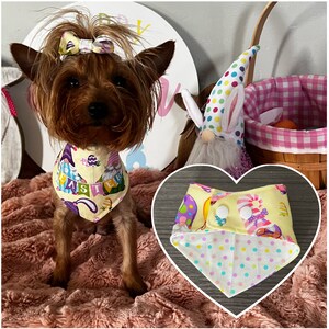May include: A small brown dog wearing a yellow Easter-themed bandana with gnomes and eggs. The bandana has the word "Easter" on it. The dog is wearing a pink bow in its hair. The bandana is also shown separately in a heart-shaped frame.