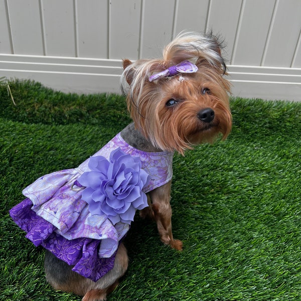 Pet Dress Summer Theme, Custom Harness Clothes, Cat, Dog, Metallic Purple Flower Made in Puppy or Kitten, XXS, XS, Small, Medium, Large Size